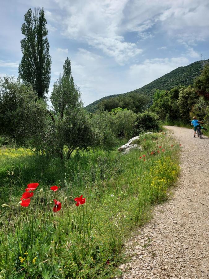 Apartman Ella Peracko Blato Esterno foto