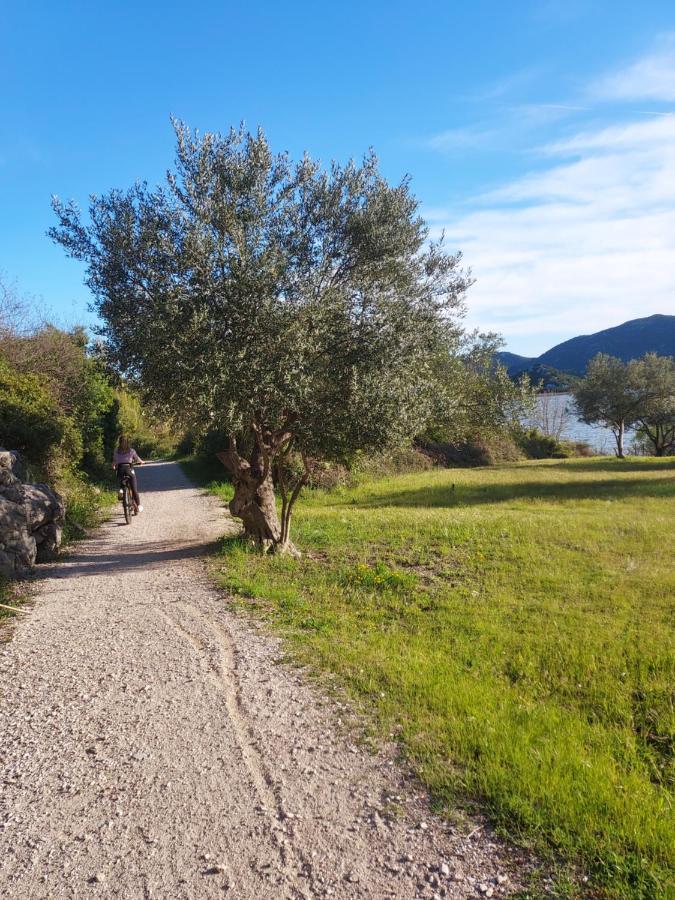 Apartman Ella Peracko Blato Esterno foto